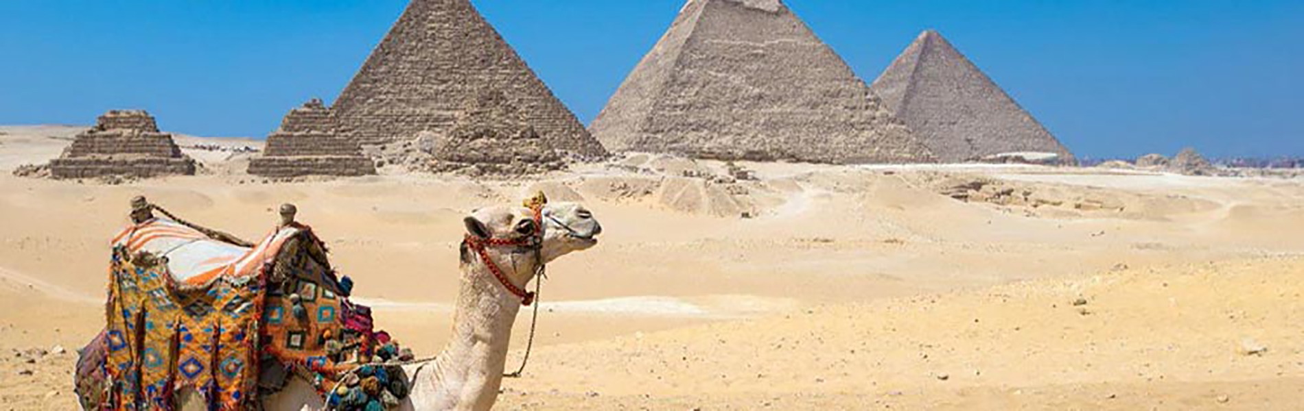 Private Tour von Hurghada Nach Kairo Mit Dem Kleinbus/PKW