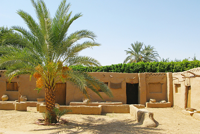 Wadi El Rayan und das Tal der Wale (Wadi El Hitan)