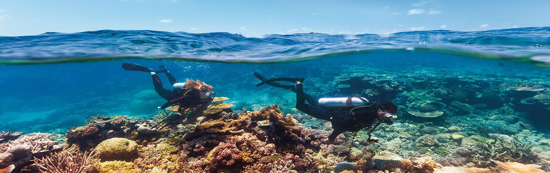 Tauchen am Riff